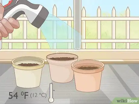 Image titled Grow Runner Beans Step 3