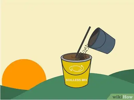 Image titled Grow African Violets Indoors Step 03