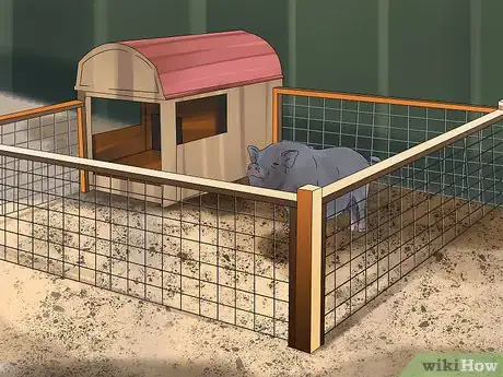 Image titled Have a Potbellied Pig for a Pet Step 10
