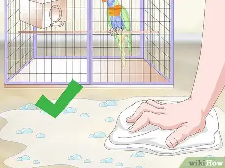 Image titled Clean and Maintain Lory and Lorikeet Habitats Step 15