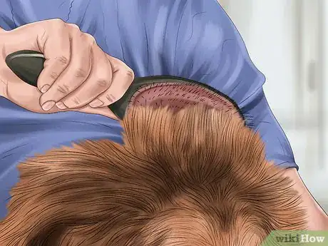 Image titled Care for Your Dog in the Winter Step 18