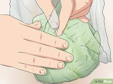 Image titled Plant Cabbage Step 16