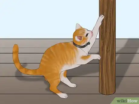 Image titled Avoid Losing Your Cat Step 16