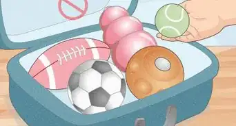 Move Cross Country with Multiple Pets