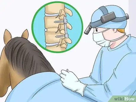 Image titled Handle Equine Wobblers Syndrome Step 8