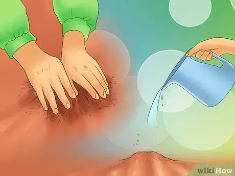 Image titled Grow Chestnut Trees Step 12