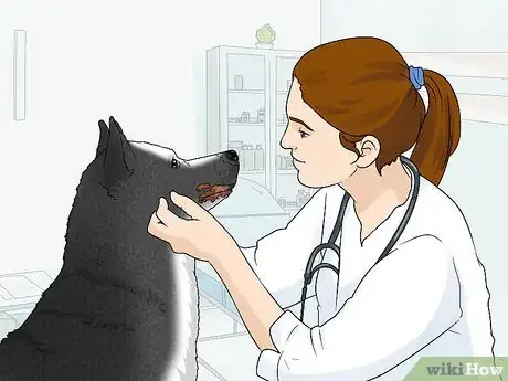 Image titled Treat Zinc Deficiency in Dogs Step 4