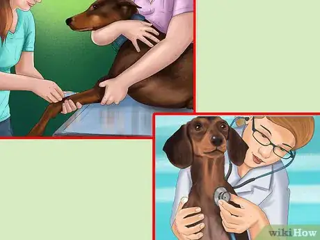 Image titled Know if Your Dog Needs a Diet Change Step 10