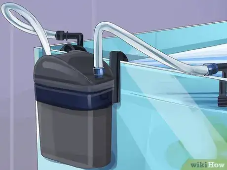 Image titled Start a Saltwater Aquarium Step 8