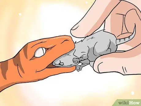 Image titled Choose Your First Pet Snake Step 1Bullet2