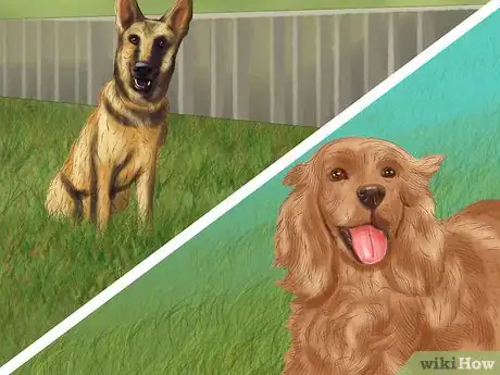 Image titled Decide Whether to Get a Second Dog Step 10