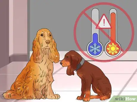 Image titled Keep Your Dog Comfortable Indoors Step 11