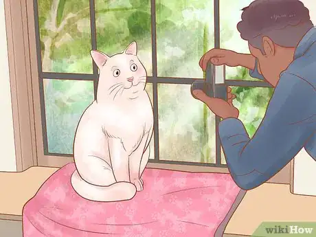 Image titled Take Action Photos of a Cat Step 1