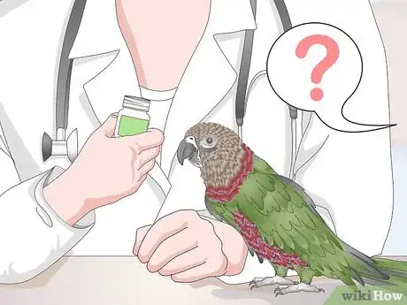 Image titled Treat Infections in Hawk Headed Parrots Step 7