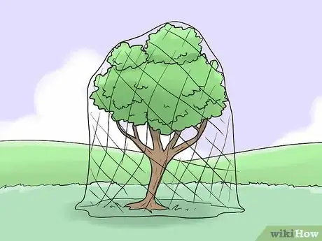 Image titled Protect Your Cherry Trees from Birds Step 9