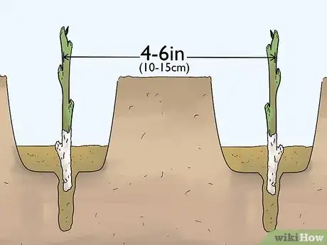 Image titled Take Hardwood Cuttings Step 11