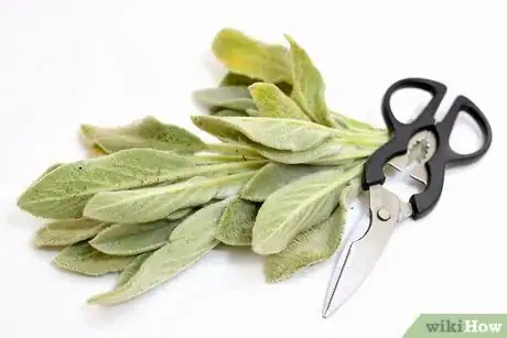 Image titled Cook With Sage Step 2
