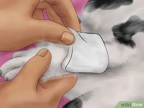 Image titled Splint a Dog's Leg Step 11