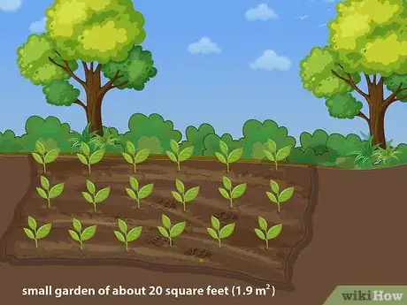 Image titled Plant Your First Garden Step 14