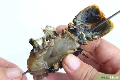 Image titled Grill Lobster Tails on a Gas Grill Step 7