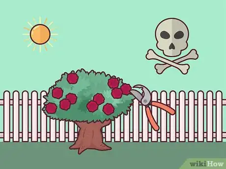 Image titled Save a Dying Rose Bush Step 8