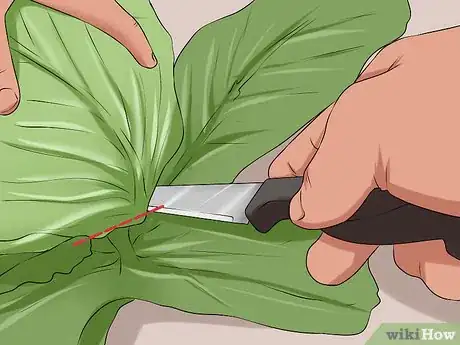 Image titled Plant Cabbage Step 15