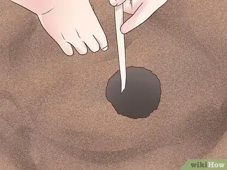 Image titled Plant English Ivy Step 5