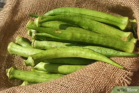Image titled Dry Okra Seeds Step 9