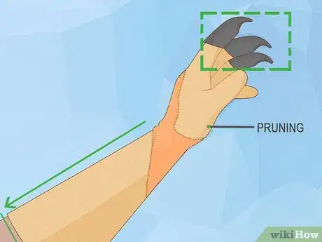 Image titled Buy Gardening Gloves Step 6