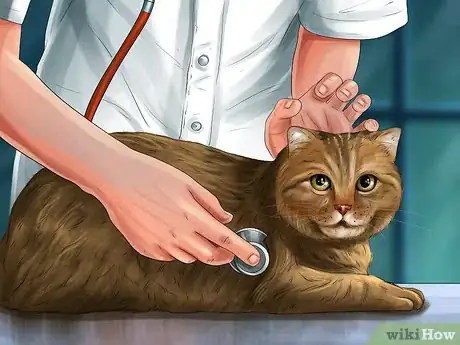Image titled Care for a LaPerm Cat Step 6