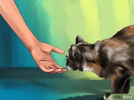 Image titled Responsibly Give a Cat As a Gift Step 8