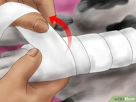 Image titled Splint a Dog's Leg Step 16
