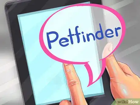 Image titled Choose a Healthy Hamster Step 3