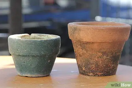 Image titled Care for Flowers Step 16