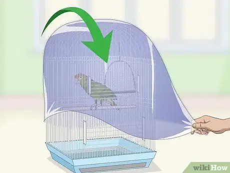 Image titled Set Up an Amazon Parrot Habitat Step 11