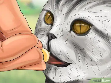 Image titled Give Supplemental Enzymes to a Cat Step 5