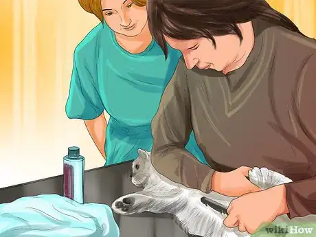 Image titled Find a Professional Cat Groomer Step 7