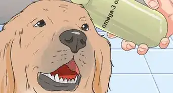 Get Your Golden Retriever to Shed Less