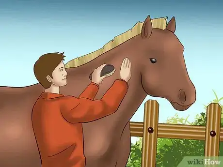 Image titled Catch a Horse Step 17