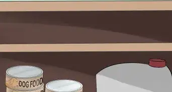 Take Care of Pets During a Hurricane