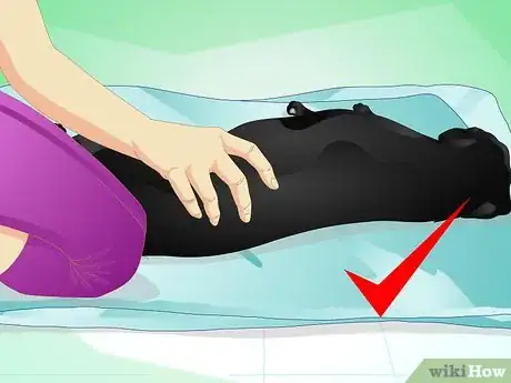 Image titled Give Your Dog a Massage Step 10