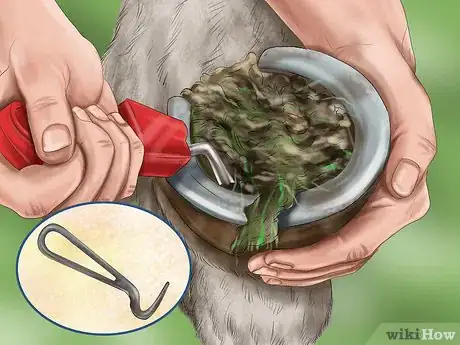 Image titled Maintain Good Hoof Care on Your Horse Step 7
