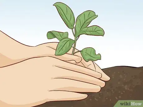 Image titled Buy in Season Step 14