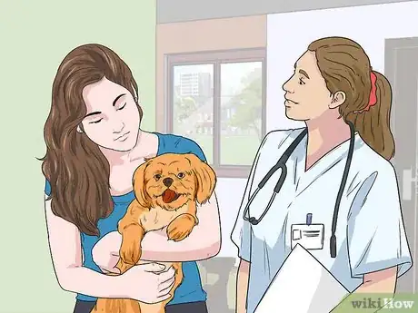 Image titled Deal with Aggressive Dogs when They Fight Step 7