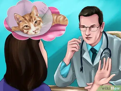 Image titled Treat Keratitis in Cats Step 4