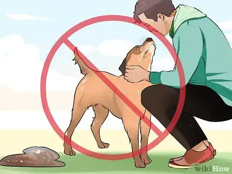 Image titled Care for a Recently Rehomed Dog Step 19