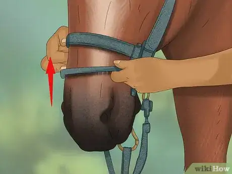 Image titled Prepare to Ride a Horse Step 13