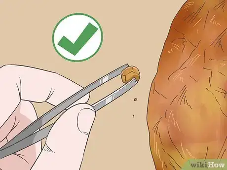 Image titled Test a Himalayan Salt Lamp Step 7