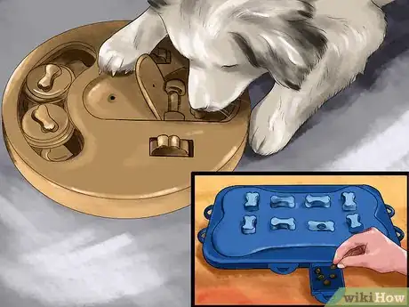 Image titled Keep Your Dog Away from Halloween Candy Step 8