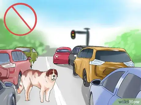 Image titled Protect Pets from Urban Dangers Step 5